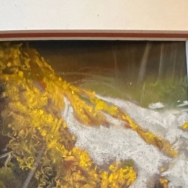 Autumn Light