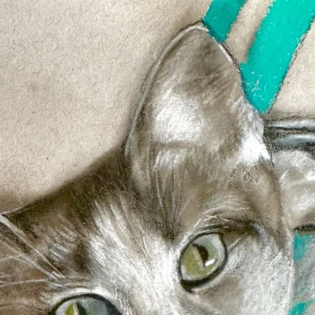 Curious Companion